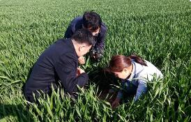 新修订后的《全国农业普查条例》公布 2026年5月1日起施行