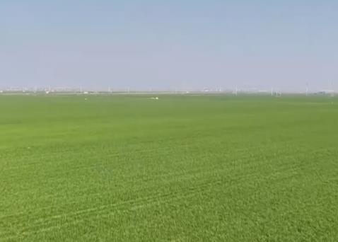 “数字田管家”管出田间好收成 “科技春耕图”在希望的田野铺展