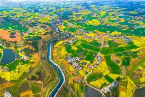 四川启动春灌供水 保障水稻满栽满插