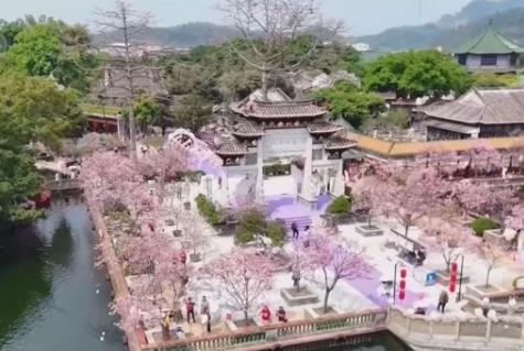 “美丽经济”激活乡村文旅消费 “生态轮作+科技赋能”促进特色产业延链增效