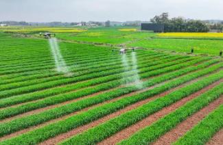 资金投入超22亿 福建保障春季农业生产开好局