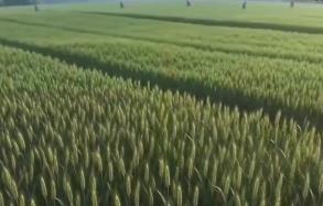 春耕春管向“新”而行 智慧农业筑基把“中国饭碗”端稳端牢