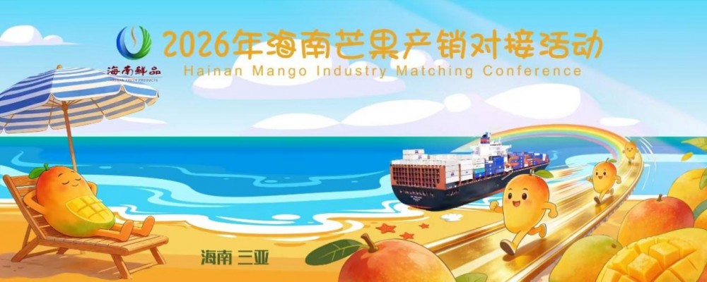 畅通产销 赋能海南芒果产业升级 2026年海南芒果产销对接活动圆满举办