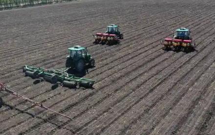 黑龙江省发布2026年备春耕生产“技术指南”