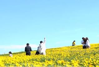 各地不断“上新”新场景、新业态 “体验经济”激发文旅新活力