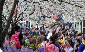 多地春假陆续落地 有望激发消费市场新增量