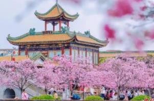 清明假期广东接待游客1985.1万人次