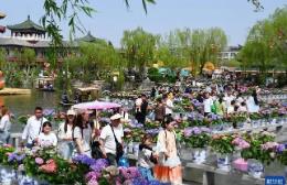 2026年清明节假期国内出游1.35亿人次