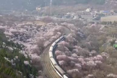 搭乘“开往春天的列车”看春日文旅一路生花“绽放”消费热活力