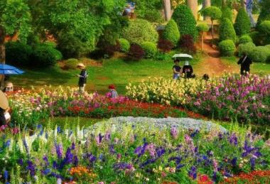 游客涨、预订旺 “春日经济”催热八桂消费市场