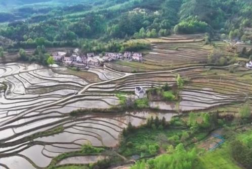 沃野春耕忙“田保姆”上岗 “科技春耕图”在广袤田野铺展开