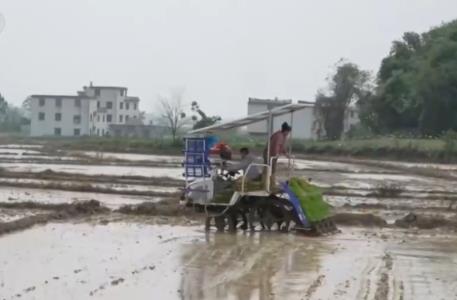 向科技要产量 “一站式”机械化农事服务成为春耕生产新的“打开方式”