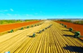 《2026年黑龙江省经济作物产业发展工作要点》发布