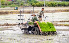 科技赋能绘就福建春耕好“丰景”