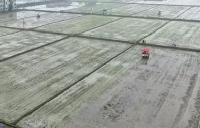 “智慧农机+良种良法”让盐碱地长成“希望田” 春管夯实夏粮丰收基础