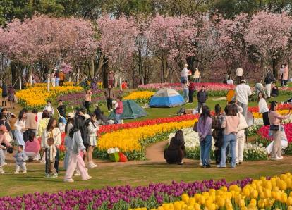 春日消费活力映照经济新图景