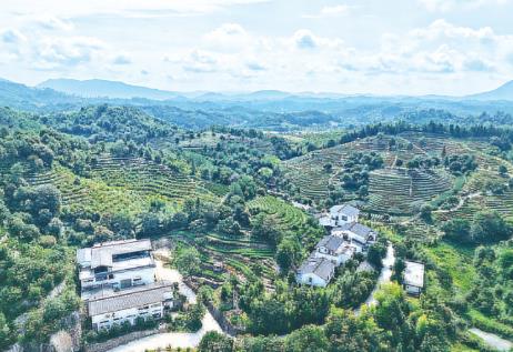 福建南平：锚定“小而美”文旅业态新