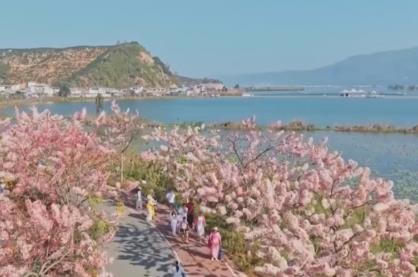 多地“花式”解锁“花样经济”促增收 “农文旅体”融合涌动消费暖流