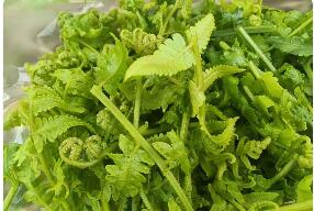 云南永德：特色野菜点亮富民路
