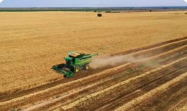 千年沃野向“新”而生——解码农业强国背后的新质生产力