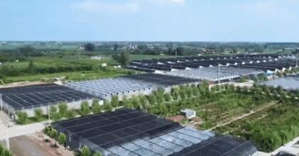 河南省永城市扎实推进乡村振兴高质量发展