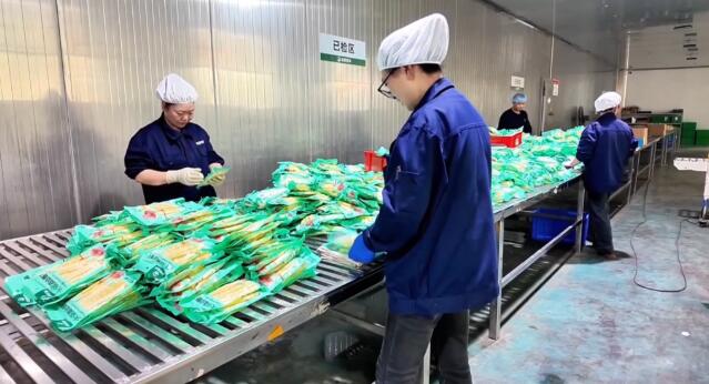 湖南桃江：完善路网强链条 春笋产业促增收