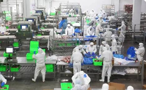 浙江杭州：二〇二八年建成千亿级现代食品产业集群