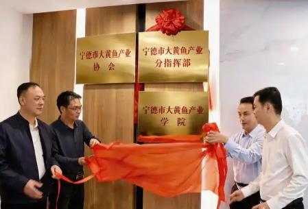 福建省宁德市大黄鱼产业学院揭牌 赋能“中国大黄鱼之都”高质量发展