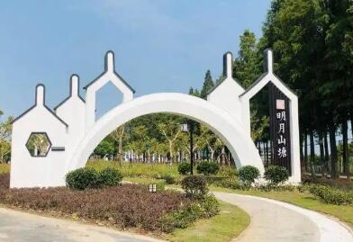 从一桥连两地，到命运共同体——浙沪“毗邻党建”促区域共富