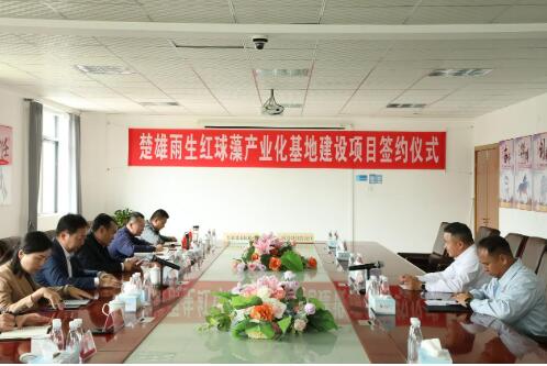 楚雄市人民政府与云南爱尔发成功签约楚雄雨生红球藻产业化基地建设项目