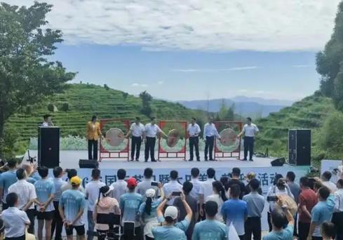 “中国美人茶之乡”福建大田举办第六届开茶活动