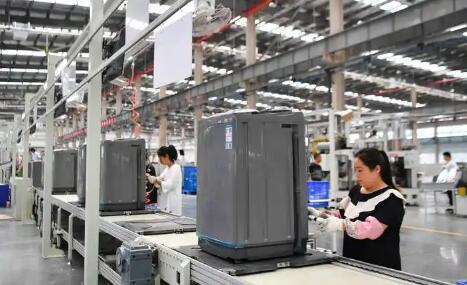 深耕全球赛道 锻造品质引擎——家电企业创新出海记
