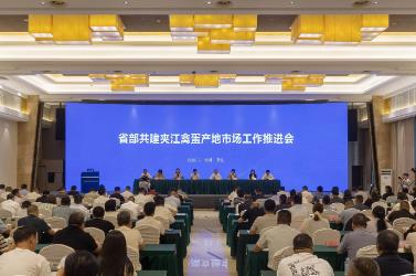 省部共建 “四川鸡窝”孵出产业“金凤凰”