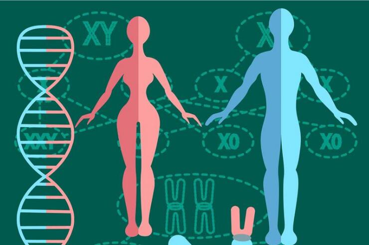 我国发布伦理指引规范人体基因数据研究