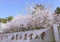 内蒙古首个中外合作办学机构获批