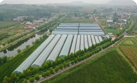 共富协奏曲唱响齐鲁乡村 山东党建引领片区化推进乡村振兴