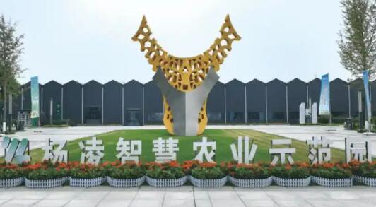 陕西省杨凌示范区：全力打造全球旱区农业新质生产力策源地