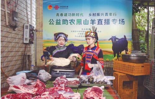 在石缝间铺就振兴路