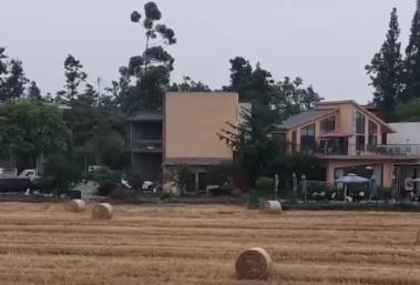 “种粮收入+秸秆增收+文旅衍生” 田园消费“新”场景催热“麦田经济”