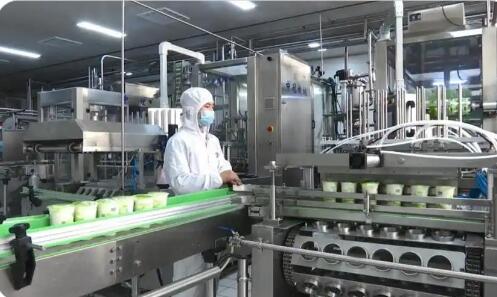 内蒙古鄂尔多斯特色奶产业规模持续扩大