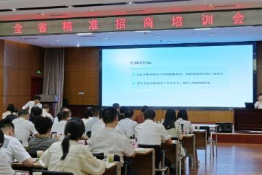 发力精准招商，湖北准备这样干