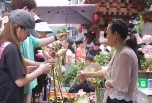 “一朵夏日荷花”撬动城市热度 以荷为媒激活文旅消费新动能