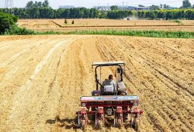 河南夏播面积8616万亩，占预计面积的94.7%