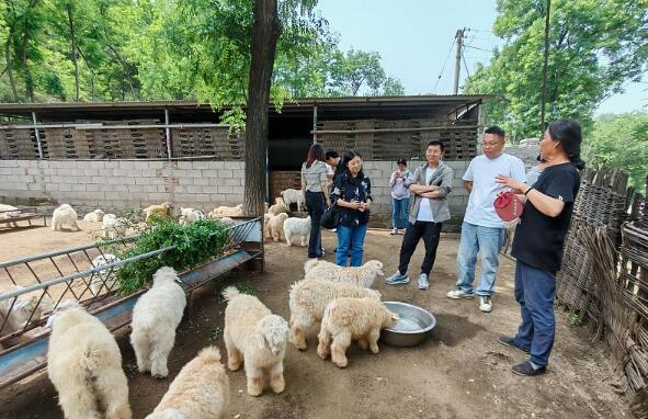 河北省绒山羊养殖生态循环模式取得良好效益