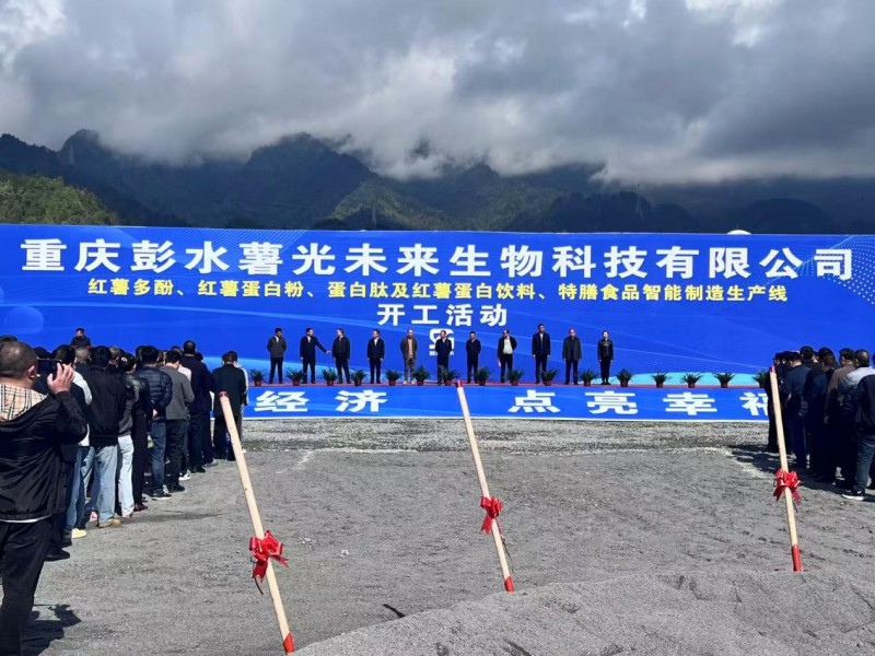 甘薯乐产业布局再进阶：彭水开工背后的战略深意