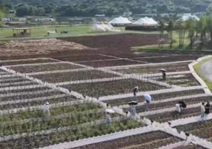 盘活“沉睡”空间打造农旅康养新地标 新场景、新业态激活新消费