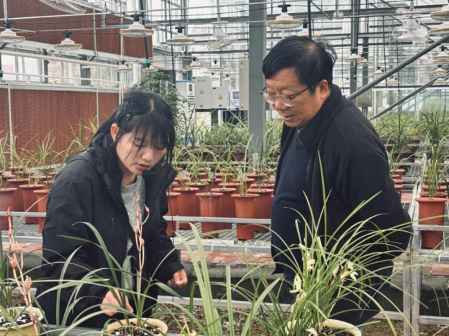 深耕兰花特色产业 赋能乡村全面振兴