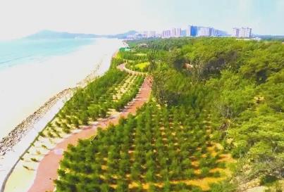 福建建成沿海防护林超14万公顷