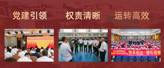 蒙娜丽莎集团党委获评广东省先进基层党组织