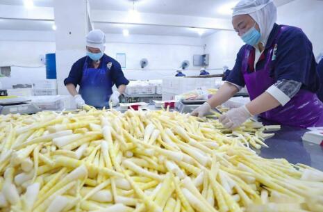 四川泸州：精深加工让一根竹笋身价倍增